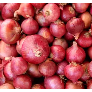 onion by LAKSHMI EXIM