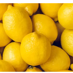 lemon by LAKSHMI EXIM