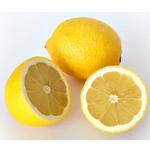 lemon - Image 2