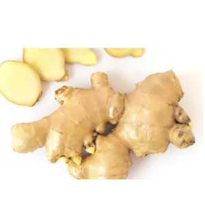 GINGER
