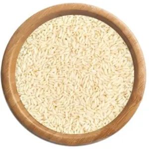 non basmati rice