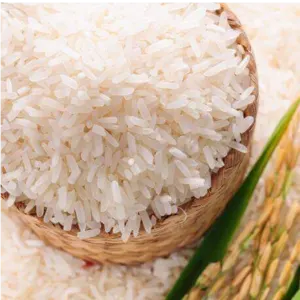 non basmati rice