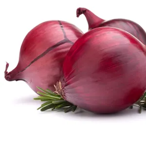 Onion by sumandlik internationals pvt,ltd