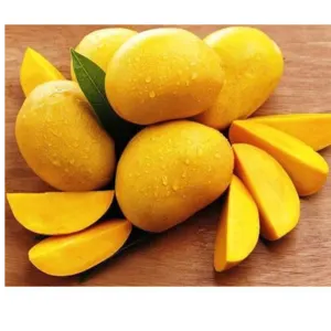 Mango by DP RAFTAAR Export Import private limited