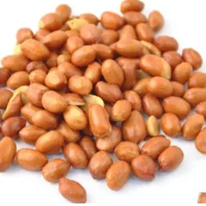 Peanut