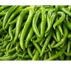 Green chilli by M D M Trading Company