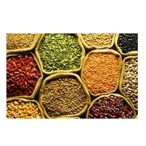 Agro products - Image 2