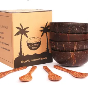 COCONUT BOWL SHELL by viet delta