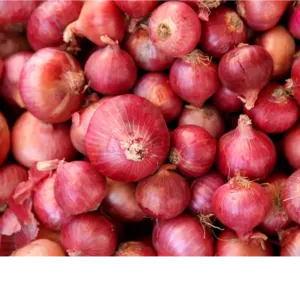 onion by Tripathi overseas