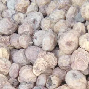 Tiger Nuts