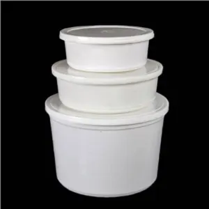 Plastic Disposable Food Container