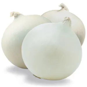 WHITE ONION - Image 2