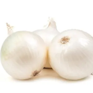 WHITE ONION