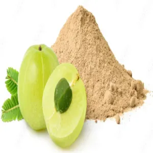 Natural Amala dehydrated fruit Powder