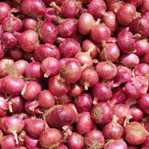 Fresh Onion by SIYA IMPORT EXPORT