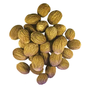 nutmeg rimple by PT. rempah pala nusantara