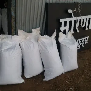 JAGGERY POWDER - Image 2