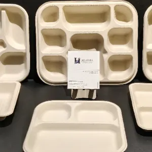 Bio Degradable Plates Bowls Trays Straws Cutlery Food Container