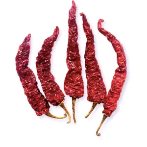 Dry REd Chilli, Kashmiri chilli byadgi chilli Teja Chilli by Essence Retail Venture