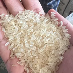 Parboiled rice IR64 - Image 2
