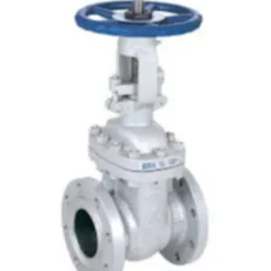 GATE VALVE - FLANGED END / FORGED STEEL - Image 2