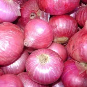 Quality red & White onion by Impex Trading (Pty)Ltd