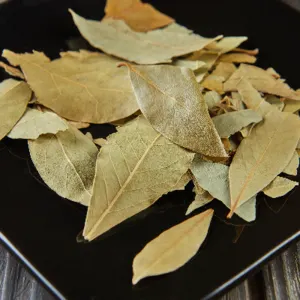 Bay Leaf - Image 3