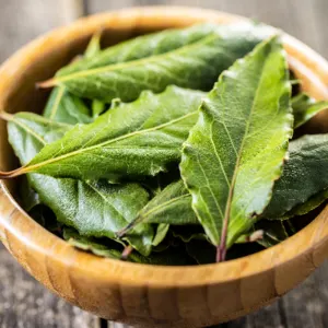 Bay Leaf