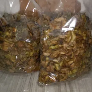 Agarwood Inoculated Dried Leaves - Image 2