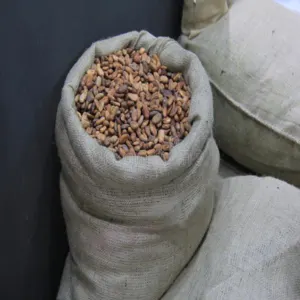 Jute coffee and cocoa beans bags