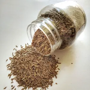 Cumin Seed - Image 2