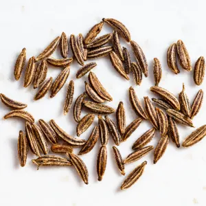 Cumin Seed by A G Infosolve Pvt Ltd
