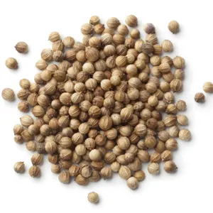 Coriander Powder and Seeds - Image 2