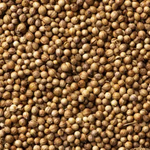 Coriander Powder and Seeds - Image 3