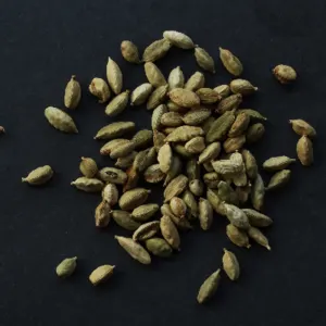 Cardamom - Image 4