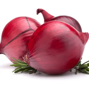 Fresh Onion - Image 2