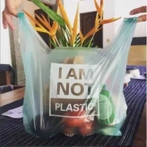 COMPOSTABLE CARRY BAG - Image 2