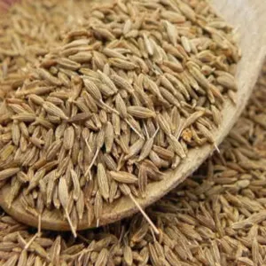 cumin seeds by Bharat Agri Exports