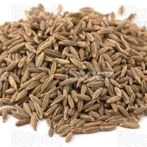 jeera singapore quality cumin