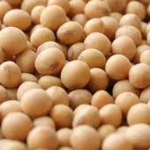 Soybeans by TRADEX Aussenhandel GmbH