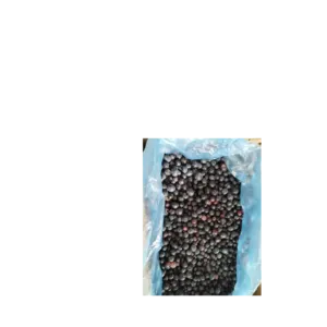 Blueberry Puree and IQF - Image 3
