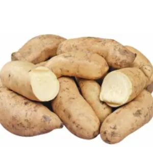 White Sweet Potatoes