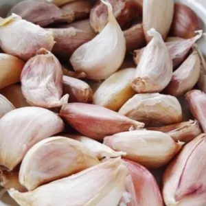 Garlic - Image 2