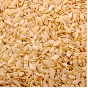 Muskmelon Seeds