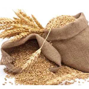 Wheat