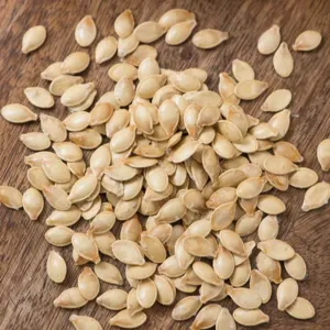 SQUASH SEEDS