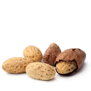KOLA NUT - Image 2