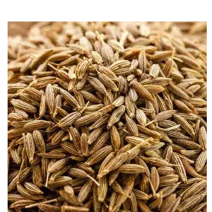 Cumin Seed by A G Infosolve Pvt Ltd