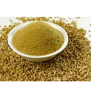 Coriander (Powder, Whole) by A G Infosolve Pvt Ltd