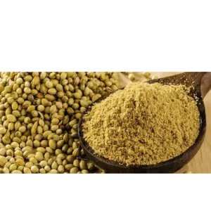 Coriander (Powder, Whole) - Image 2
